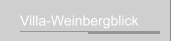 Villa-Weinbergblick